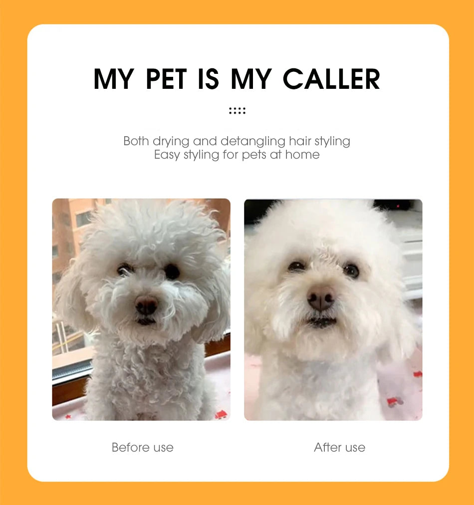 2 in 1 Pet Hair Dryer