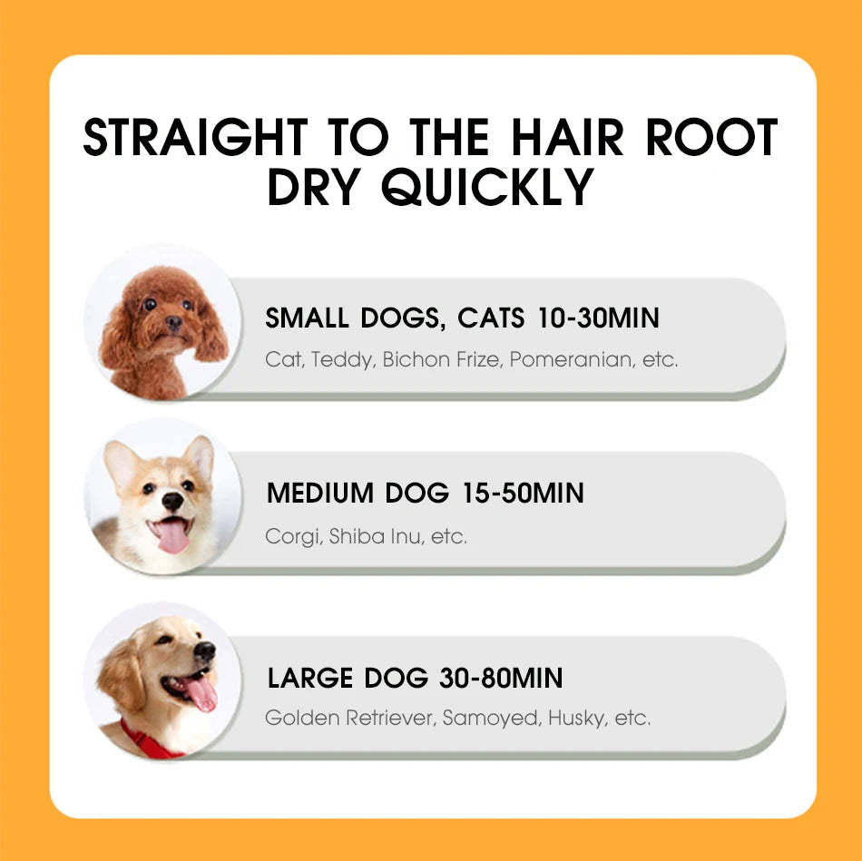 2 in 1 Pet Hair Dryer