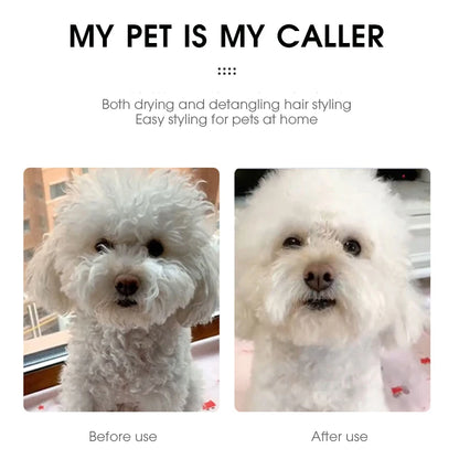 2 in 1 Pet Hair Dryer