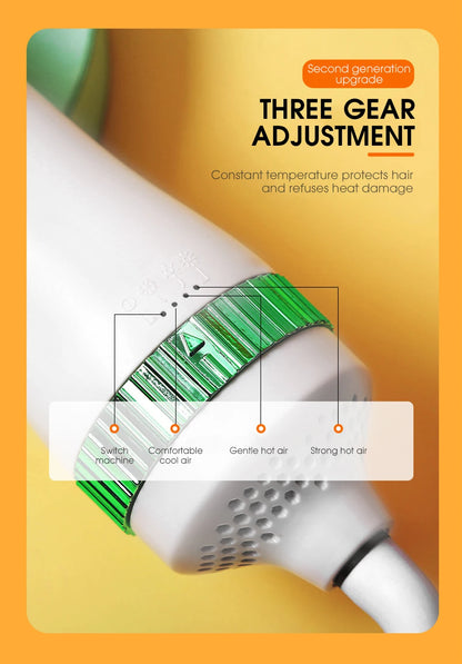 2 in 1 Pet Hair Dryer