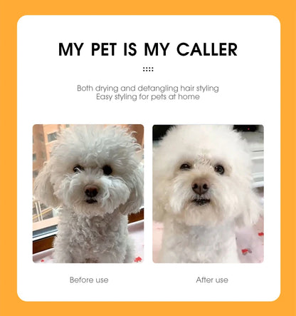 2 in 1 Pet Hair Dryer
