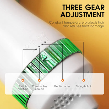 2 in 1 Pet Hair Dryer